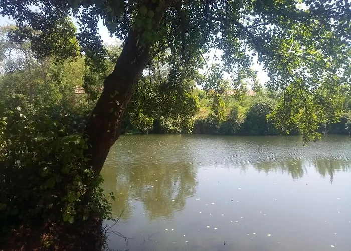 Céntrico apartamento de dos dormitorios, amplio y soleado