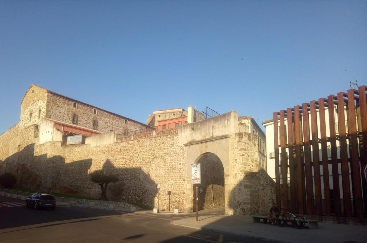 Céntrico De Dos Dormitorios, Amplio Y Soleado